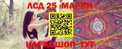 шишки Аргун