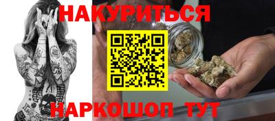 шишки Аргун