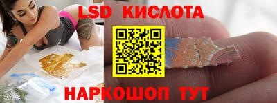 шишки Аргун