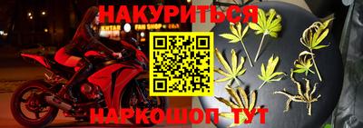шишки Аргун