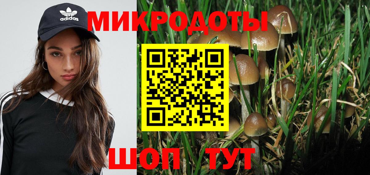 Псилоцибиновые грибы GOLDEN TEACHER Бугульма